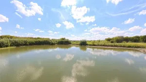 Itasca, TX 76055