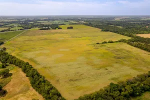 Bonham, TX 75418