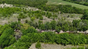 Peaster, TX 76088