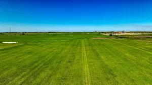 Dublin, TX 76446