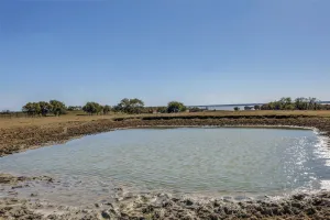 Kemp, TX 75143
