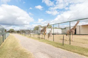 Franklin, TX 77856