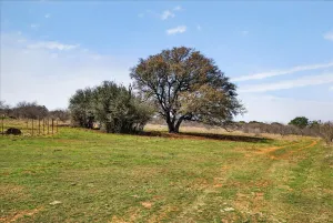 Graford, TX 76449