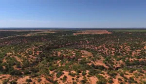 Childress, TX 70201
