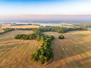 Honey Grove, TX 75446