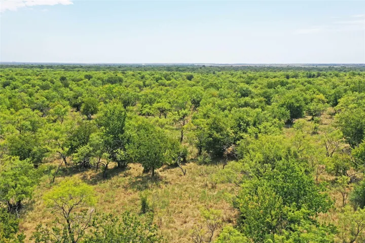 Perrin, TX 76486