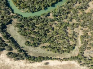 Gonzales, TX 78629