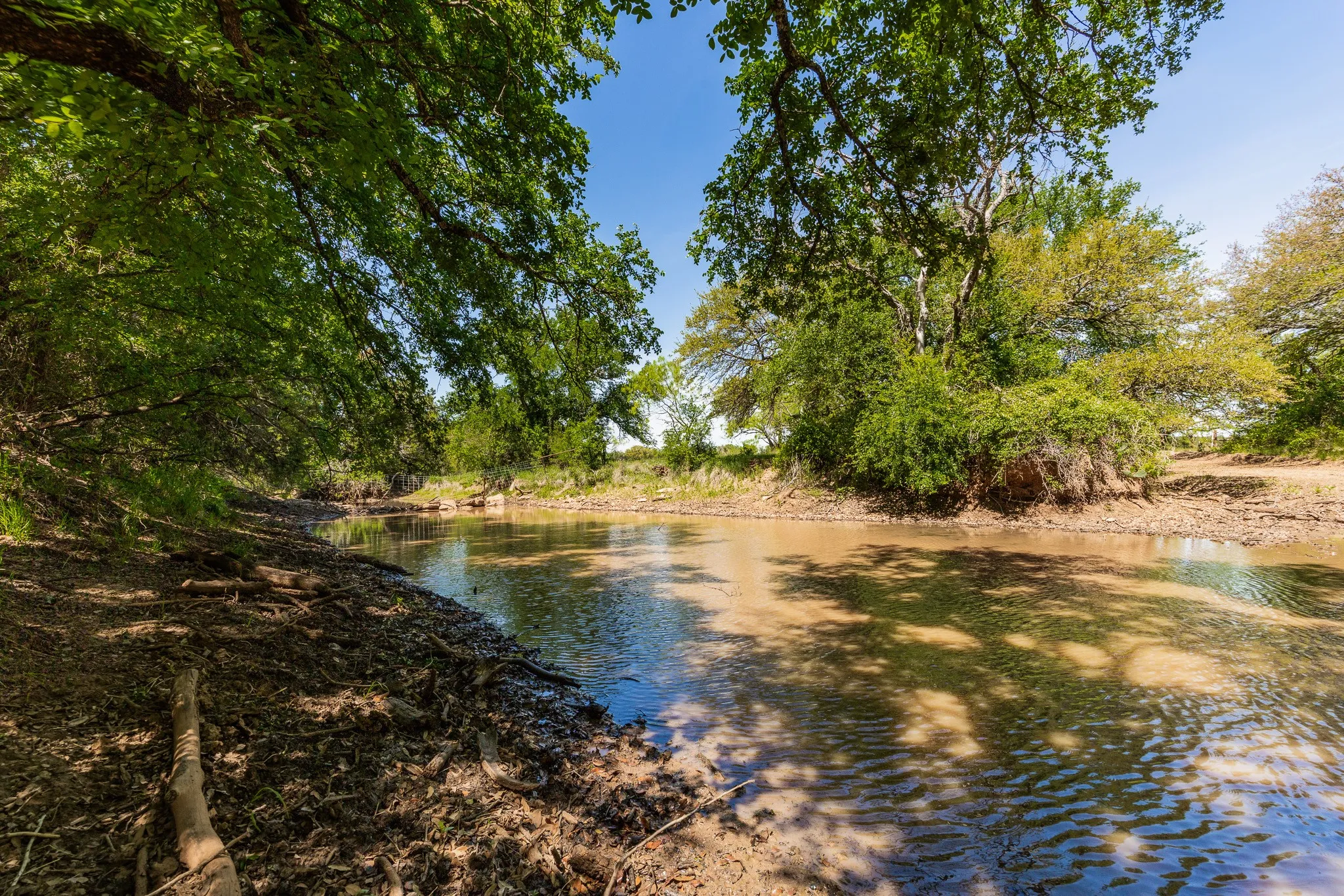 Coleman, TX 76834