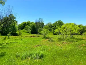Bowie, TX 76230
