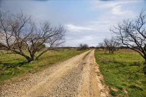 Graford, TX 76449