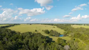 Whitesboro, TX 76273