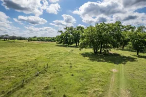 Hamilton, TX 76531