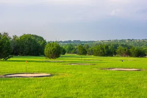 Fairy, TX 76457