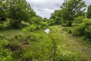 Hamilton, TX 76531