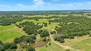 Jacksboro, TX 76458