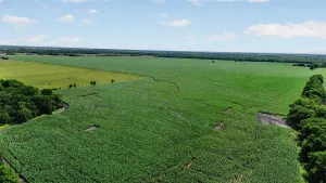Greenville, TX 75401
