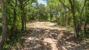 Stephenville, TX 76401
