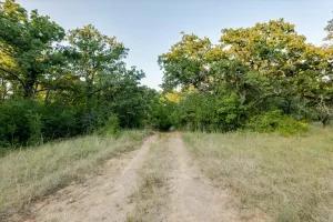 Carbon, TX 76435