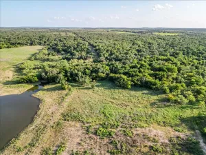 Carbon, TX 76435