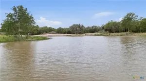 Hallettsville, TX 77964