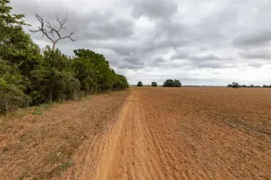 Marlin, TX 76661