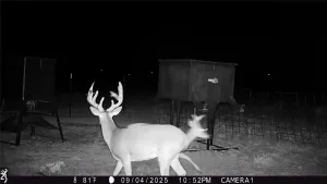 Haskell, TX 79521