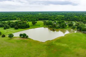 Wills Point, TX 75169