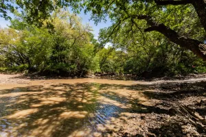 Coleman, TX 76834