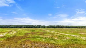 Sour Lake, TX 77659
