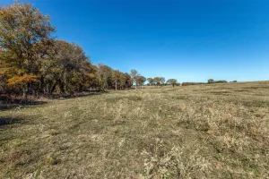Kemp, TX 75143