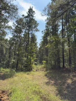 Garrison, TX 75946