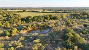 Gorman, TX 76454