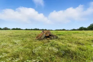Jacksboro, TX 76458