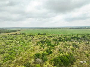 Richland Springs, TX 76871