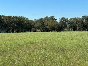 Alvarado, TX 76009