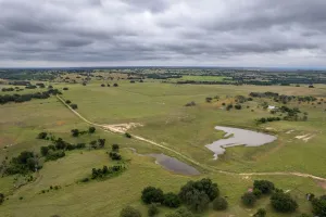 Hamilton, TX 76531