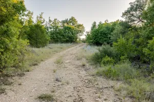 Carbon, TX 76435