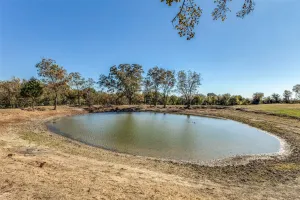 Kemp, TX 75143
