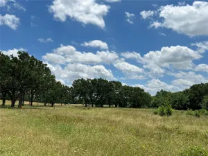 Sulphur Springs, TX 75482