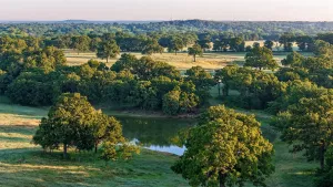 Alvord, TX 76225