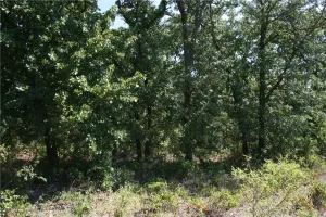 Weatherford, TX 76086