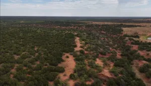 Childress, TX 70201