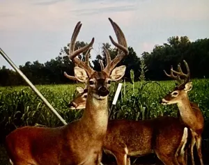 Powderly, TX 75473