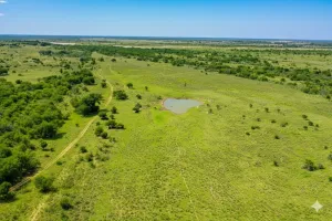 Harrold, TX 76364