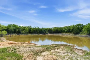 Forestburg, TX 76239