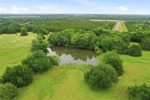 Princeton, TX 75407
