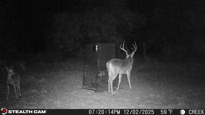 Mullin, TX 76864