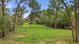 Hallettsville, TX 77964