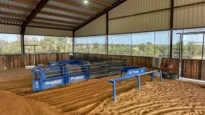 Mineral Wells, TX 76067