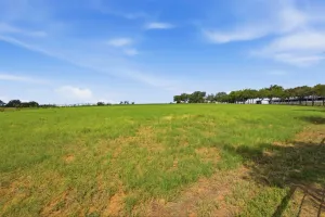 Cross Roads, TX 76227